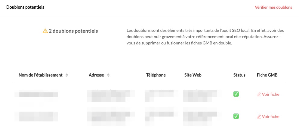 seo local doublons